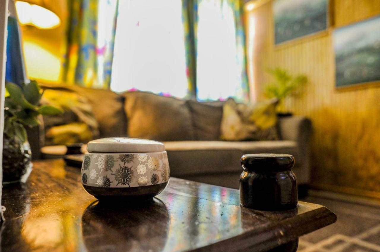 Eko Cozy Guest House St. John's Dış mekan fotoğraf