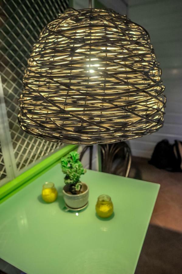 Eko Cozy Guest House St. John's Dış mekan fotoğraf